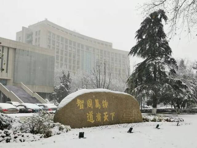 抢不到冰墩墩的你，快来南航看“雪绒绒”吧！