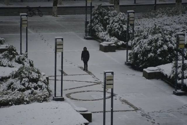 抢不到冰墩墩的你，快来南航看“雪绒绒”吧！