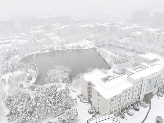 抢不到冰墩墩的你，快来南航看“雪绒绒”吧！