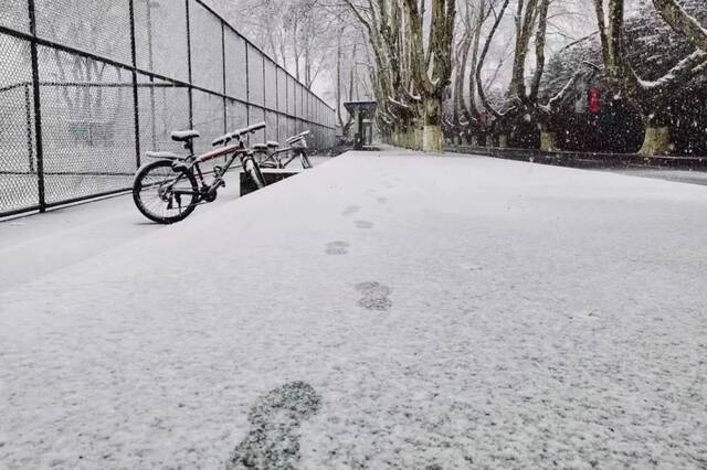 抢不到冰墩墩的你，快来南航看“雪绒绒”吧！