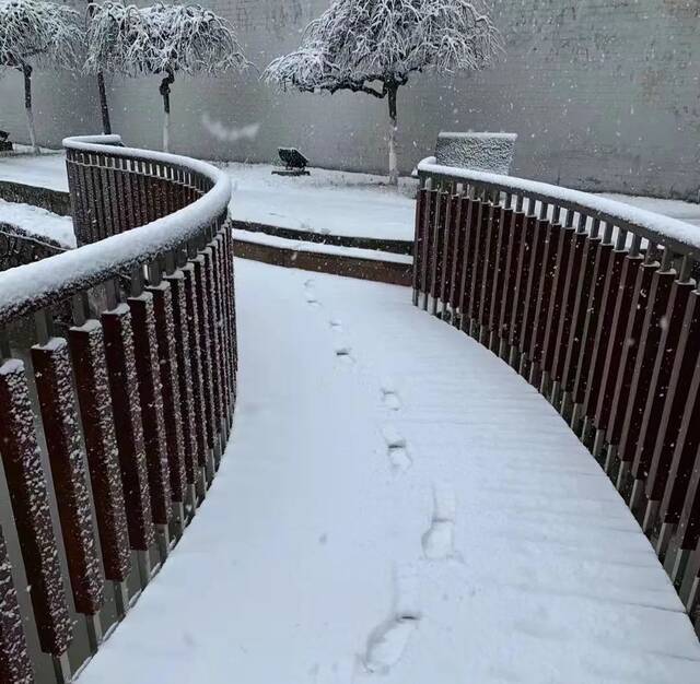 抢不到冰墩墩的你，快来南航看“雪绒绒”吧！