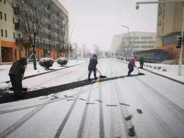 抢不到冰墩墩的你，快来南航看“雪绒绒”吧！