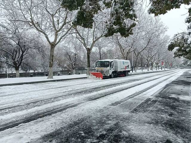 抢不到冰墩墩的你，快来南航看“雪绒绒”吧！