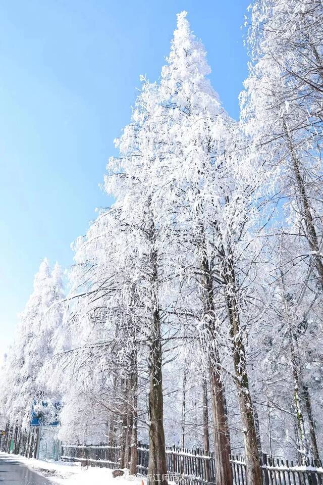 我怕初七的大雪漫天，你收不到我的祝福，于是……