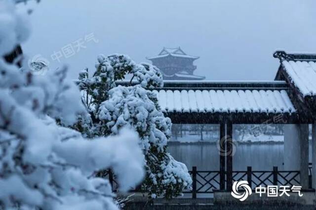 南方阴雨雪不退场，南京、合肥等多地实现“冰墩墩自由”