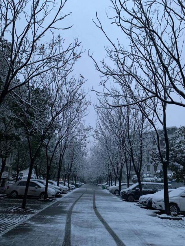 雪下了一整夜！湖北多地发布暴雪预警