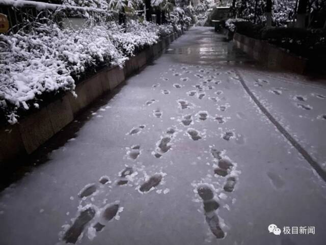 雪下了一整夜！湖北多地发布暴雪预警