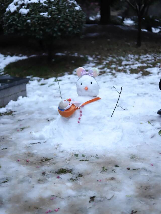 图/胡逸雪