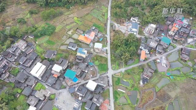 新春走基层丨仫佬山乡的新春“板凳会”