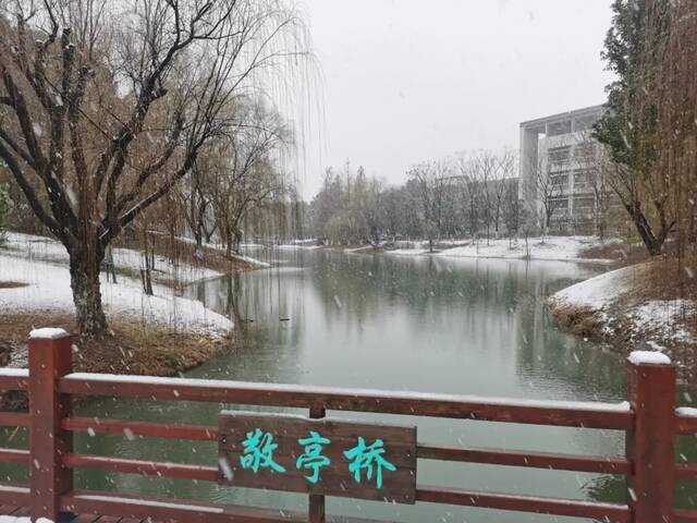 雪花飞舞的水面碧波荡漾