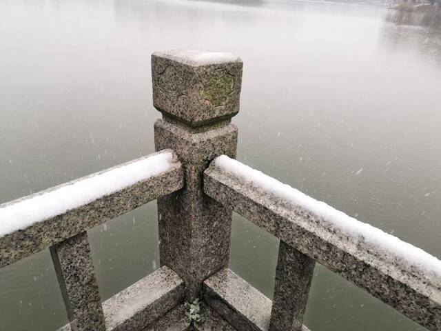 雪花飞舞的水面碧波荡漾