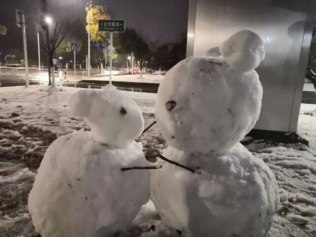 江南校园雪漫漫