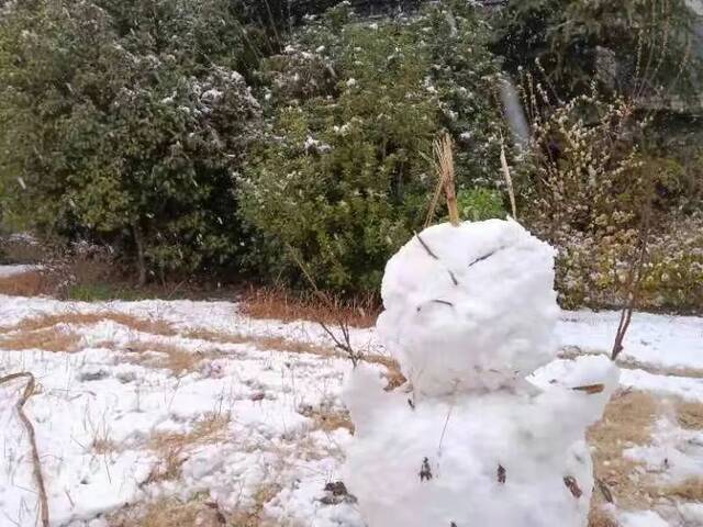 江南校园雪漫漫