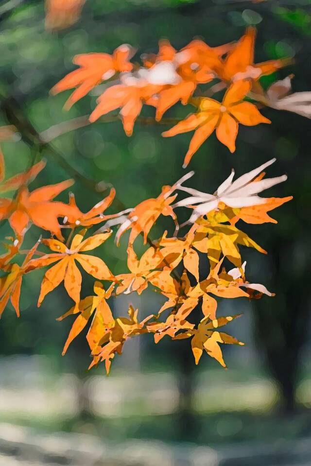 每一阵秋风吹走暑气