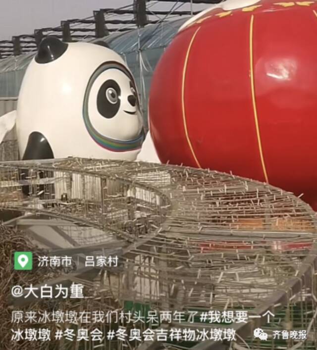 巨型冰墩墩在济南一村口蹲半年“看大棚”，爆火后被连夜拖走！