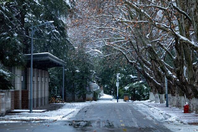 大美科大  听，科大雪落的声音