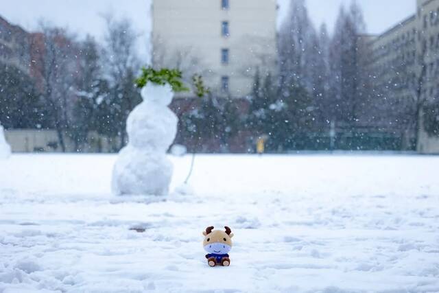 大美科大  听，科大雪落的声音