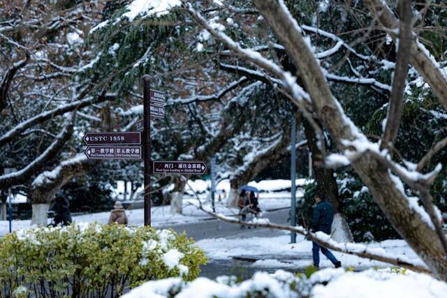 大美科大  听，科大雪落的声音