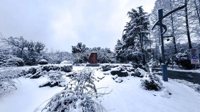 大美科大  听，科大雪落的声音