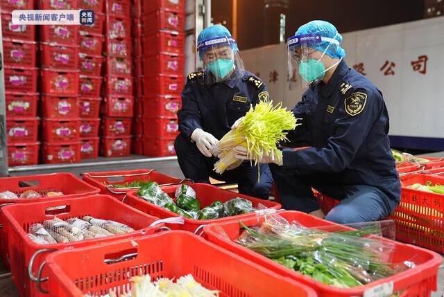 今年以来内地供港果蔬超10万吨，占香港本地供应近九成