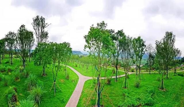 广阳湾首个生态绿地图：广阳湾智创生态城