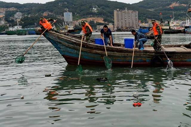 疫情中海洋塑料污染加剧？美国欧盟推动遏制污染全球协定