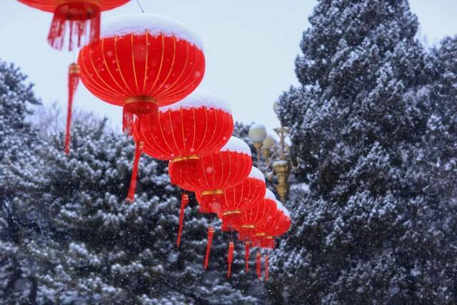 虎年的第一场雪！冰墩墩带你逛北科大校园！