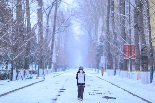 虎年的第一场雪！冰墩墩带你逛北科大校园！