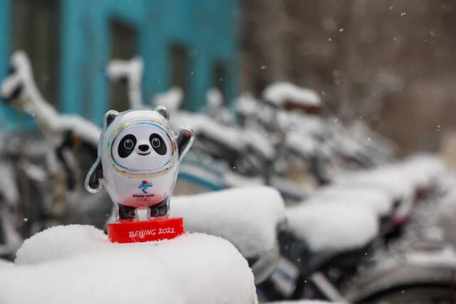 虎年的第一场雪！冰墩墩带你逛北科大校园！