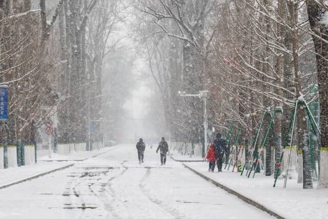 虎年的第一场雪！冰墩墩带你逛北科大校园！