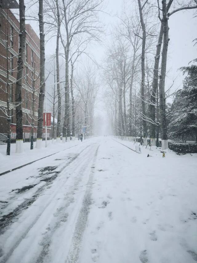 虎年的第一场雪！冰墩墩带你逛北科大校园！