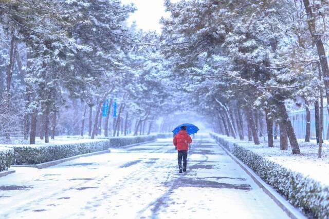 虎年的第一场雪！冰墩墩带你逛北科大校园！