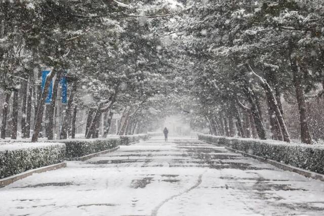 虎年的第一场雪！冰墩墩带你逛北科大校园！