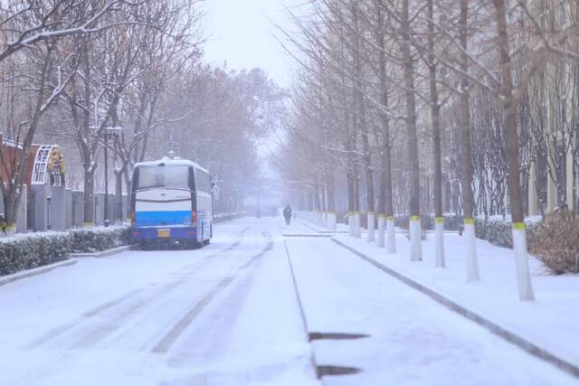 虎年的第一场雪！冰墩墩带你逛北科大校园！