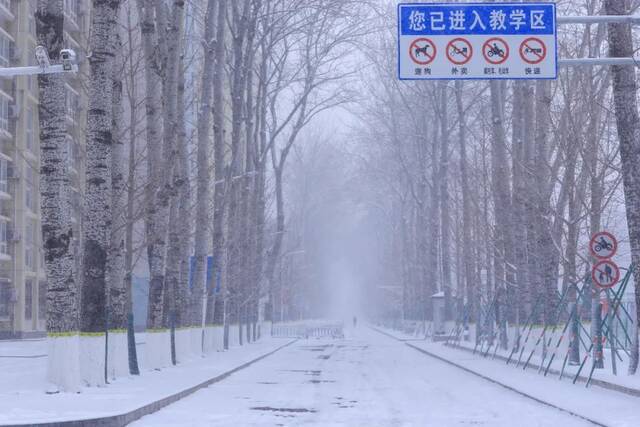 虎年的第一场雪！冰墩墩带你逛北科大校园！