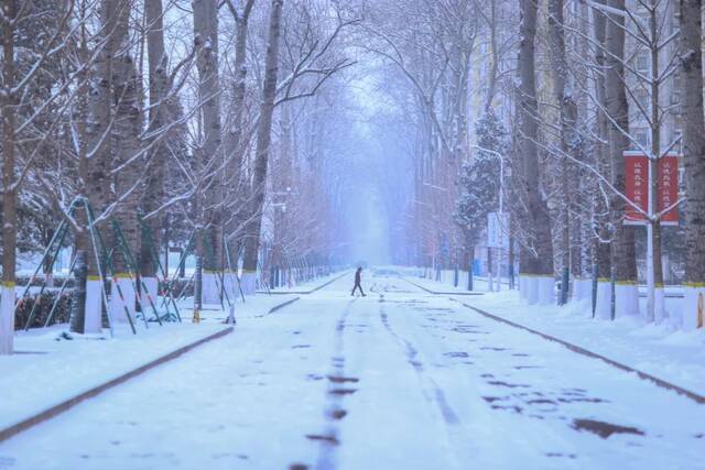 虎年的第一场雪！冰墩墩带你逛北科大校园！