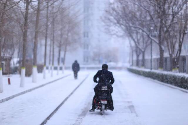 虎年的第一场雪！冰墩墩带你逛北科大校园！