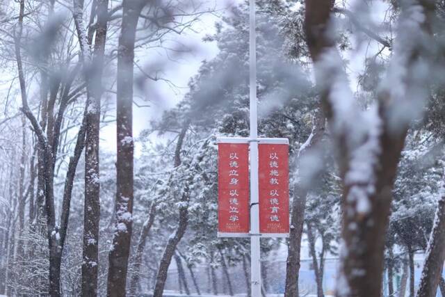 虎年的第一场雪！冰墩墩带你逛北科大校园！