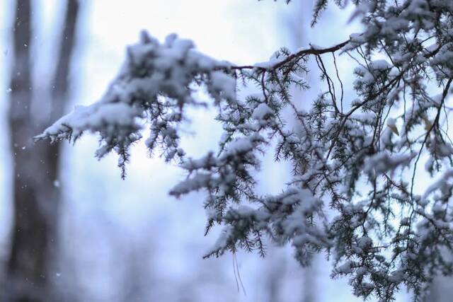 虎年的第一场雪！冰墩墩带你逛北科大校园！