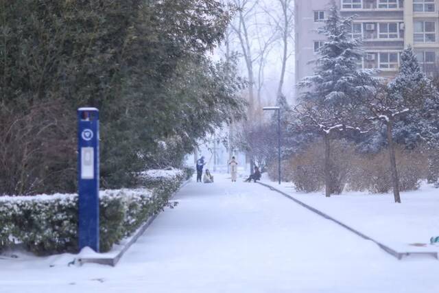 虎年的第一场雪！冰墩墩带你逛北科大校园！