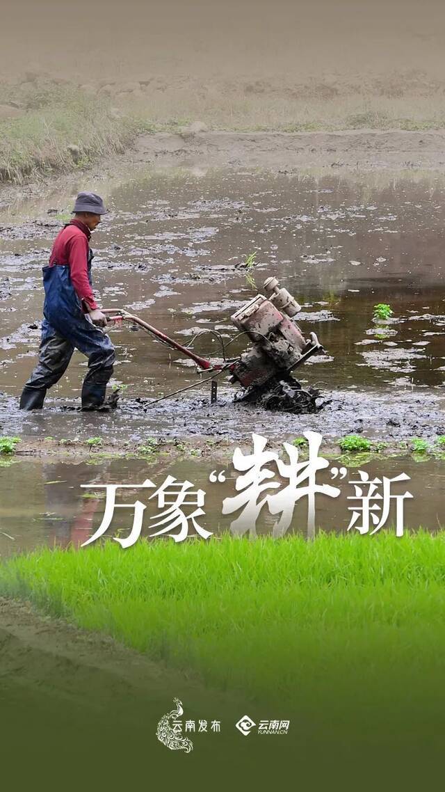 万象“耕”新！