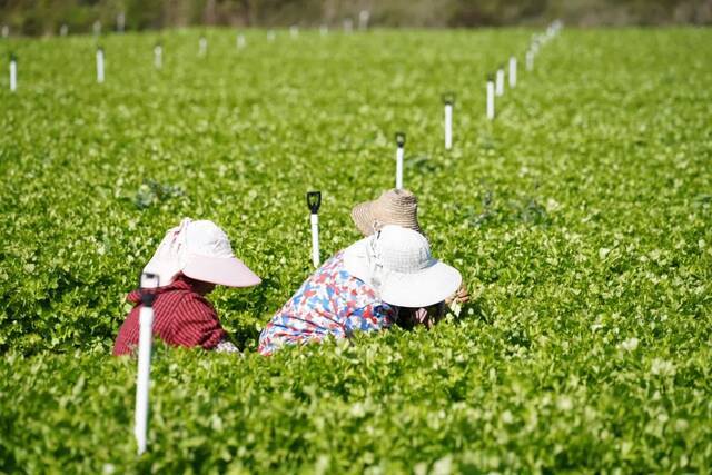 万象“耕”新！