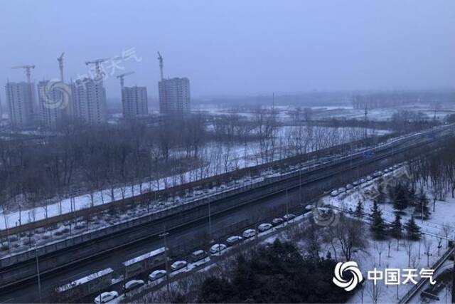 下雪了！北京迎虎年首场雪 今天白天有中雪 最高气温跌至冰点以下