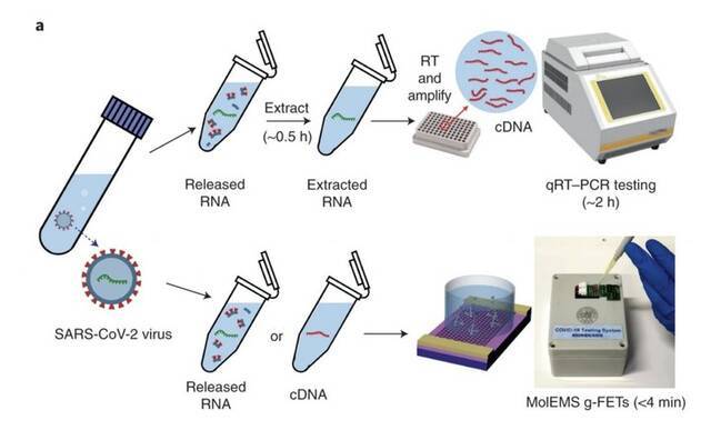 ▲SARS-CoV-2核酸检测，图片来自：Nature Biomedical Engineering