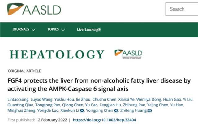 温医大药学团队在国际肝脏病学权威期刊Hepatology发表研究成果