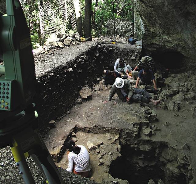 法国南部曼德林洞穴出土幼童牙齿化石或推前智人抵达欧洲时间