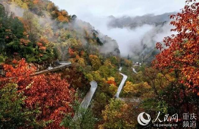 城口县盘山公路枫叶环绕图：城口县交通局