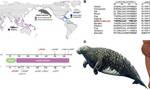 冰河时代“巨人”斯特拉海牛的基因组解码