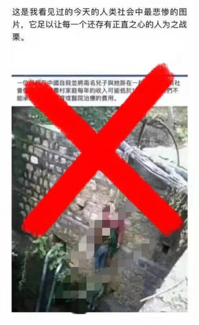 “中国母亲”因没有社保而带两名儿子上吊自杀？假的！