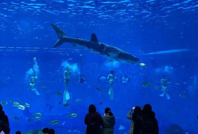 ​世界首条仿生鲸鲨，航天智造！